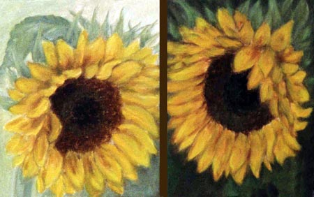 sunflowerheads2