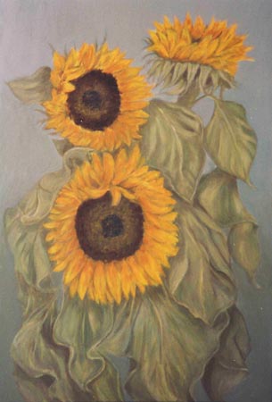 sunflower3